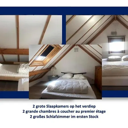 Prázdninový dům 48